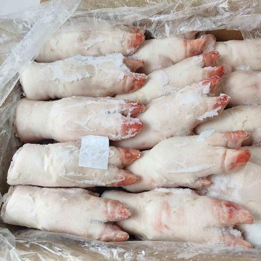CL精制整个猪蹄猪手猪脚尖10kg【云仓 1A区-2A1下/2A3中】 商品图0