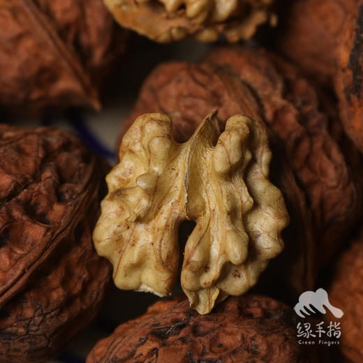 野生纸皮核桃 | 合作生产* Wild walnut | Coproduction 商品图2