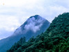 五一5日【武汉大别山】鲜为人知大别山秘境の开封-武汉-麻城杜鹃-天堂寨-三河古镇 商品缩略图4