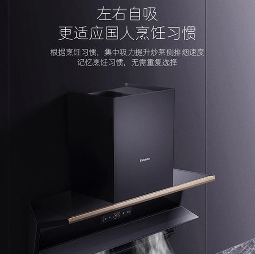 卡萨帝（Casarte）烟机 CXW-258-C6Q100EGUD 商品图4