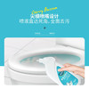  水卫仕 洁厕剂 500g/瓶 商品缩略图1