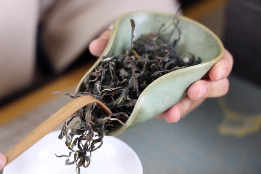 白莺山古树茶基因库甄选（2023年） 商品图0