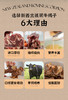 新西兰国民品牌！禾木质道银蕨牛蝎子，银蕨农场自然生产，纯草饲牛肉，低脂肪，低胆固醇，每咬一口都是味蕾享受。 商品缩略图6