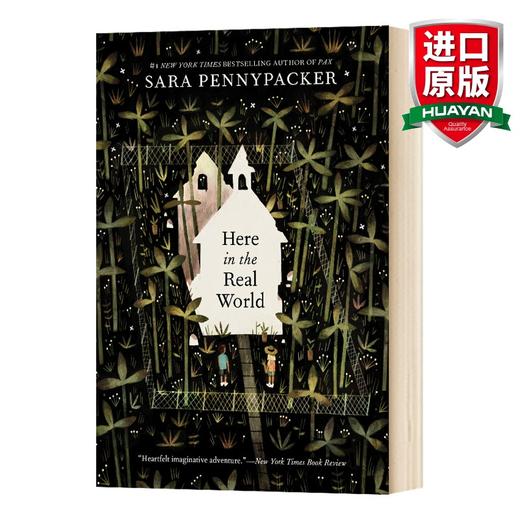 Collins柯林斯 英文原版 Here in the Real World 在现实世界 小狐狸派克斯作者 英文版 商品图0