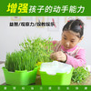 【好物推荐】儿童种植创意迷你植物微景观幼儿园负离子植物农场绿植水培 商品缩略图1