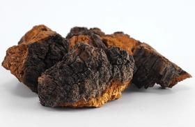 稀缺的桦树茸是“降糖高手”？怎么吃更靠谱？