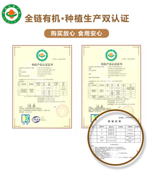 有机冻干铁棍山药粉144克/盒支持自提 商品图5