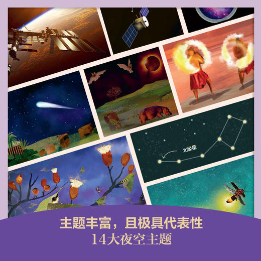 DK动物地图+夜空之下 商品图2