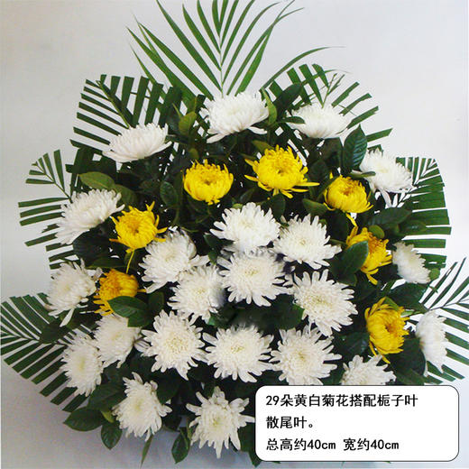 菊花手提花篮扇面-扫墓祭奠追悼念鲜花速递同城清明节重阳节祭祖 商品图6