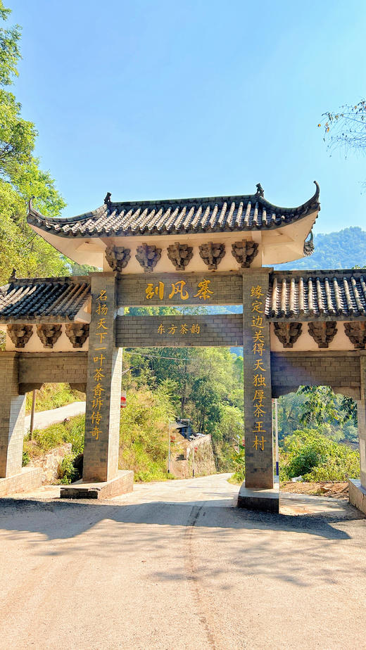 2024【刮风寨猎虎山】精微产区森林茶高杆！满口森林野韵！ 商品图1