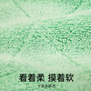 【春季限时购】日本LEC激落君免洗剂细纤维抹布5片特惠装家用厨房洗碗布 商品缩略图4