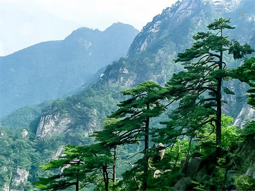 五一5日【武汉大别山】鲜为人知大别山秘境の开封-武汉-麻城杜鹃-天堂寨-三河古镇 商品图8