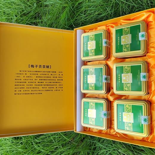 2025新茶 竹溪梅子贡·中华茶韵绿茶礼盒装  300g（50g*6袋） 商品图3