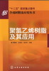 合成树脂及应用丛书--聚氯乙烯树脂及其应用 商品缩略图1