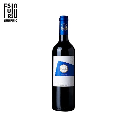 智利原瓶进口美乐干红2020年 750ml 商品图0