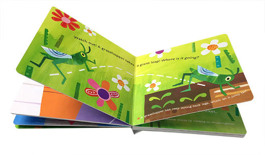 英文原版 Hello  World! Backyard Bugs 你好 世界 后院的昆虫 幼儿科普小百科 启蒙儿童早教 纸板书 英文版 商品图1