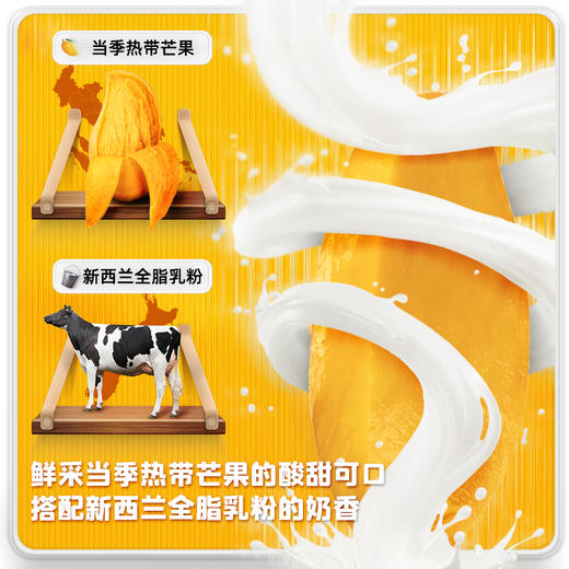 菇滋菇滋芒果奶糕大块乳酪干奶芙芒果干之恋休闲零食*3包 商品图2