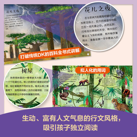 DK动物地图+夜空之下 商品图5