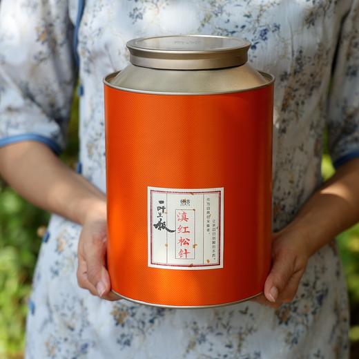 滇红松针 空杯留香凤庆大叶老品种好红茶（橙罐装900g） 商品图0