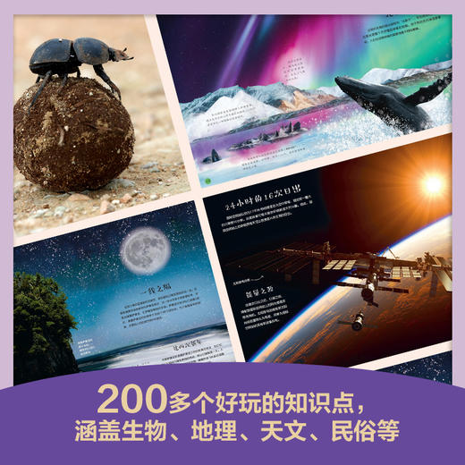 DK动物地图+夜空之下 商品图4