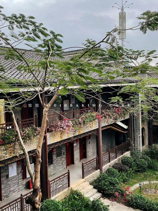 「仲恺公园」茶歇会议甜品台案例 商品图7