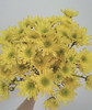 【精品小菊】瑞黄  10支/扎 商品缩略图0