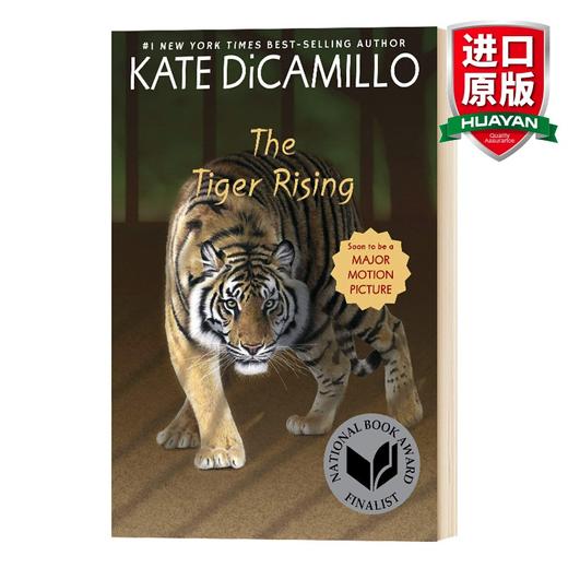 英文原版 The Tiger Rising 高飞的老虎 儿童小说 英文版 商品图0