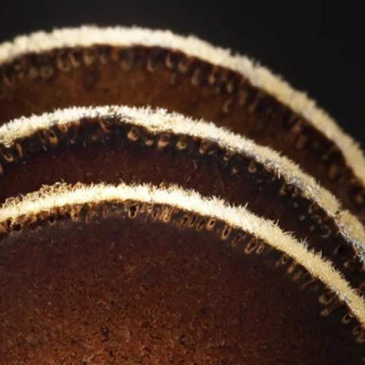 化州橘红（有机转换期） 商品图5