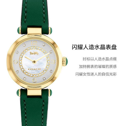 【​时尚水晶点缀 闪耀女性迷人光彩】COACH蔻驰CARY系列希林娜依·高同款石英女士手表（送价值399元孔雀石项链） 商品图2