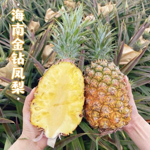 海南金钻凤梨（树上熟） 4.5-5斤（2-3颗装） 商品图1