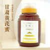 甘肃黄芪蜜1000g 珍贵小蜜源成熟草本蜂蜜 口感纯正 46届国际蜂联品质大奖20年非遗老店 商品缩略图0