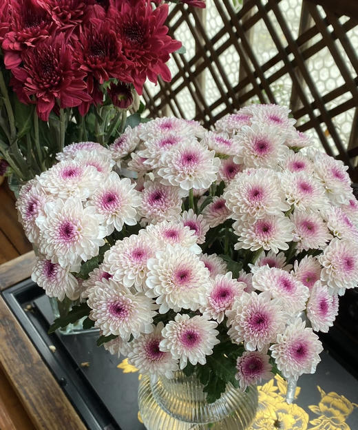 【精品小菊】马蒂斯 10支/扎 商品图0