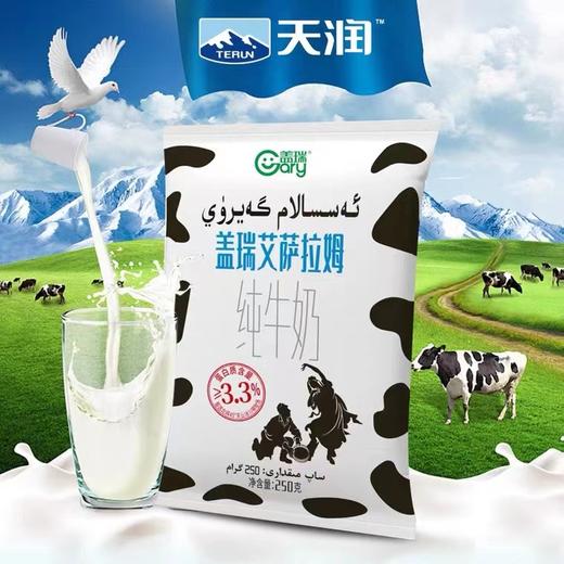 天润牛奶新疆纯牛奶盖瑞艾萨拉姆250*12袋整箱 商品图0