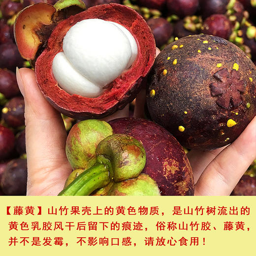 『泰国山竹』白嫩柔滑 甘香多汁 商品图3