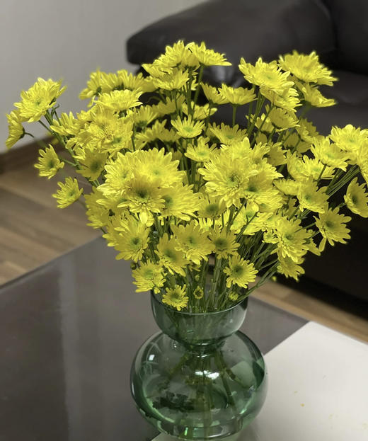 【精品小菊】瑞黄  10支/扎 商品图2