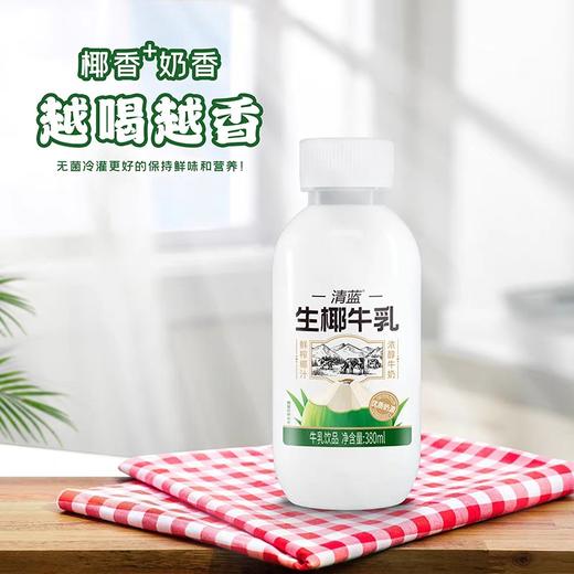 清蓝生椰牛乳 380ml/瓶 商品图1