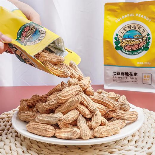 【香甜】七彩野地熟花生210g*2袋 新货云南七彩花生炒制 炒货花生带壳原味口感香甜 云南傣族老品种花生 商品图1