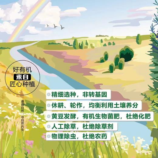 山东·潍坊 仙峡湖有机蔬菜5品套餐或8品套餐 商品图5