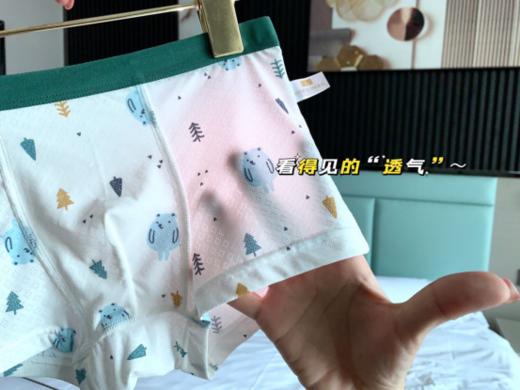 童童树儿童👦无痕空调内裤4条装✔材质安全，A级标准，吸湿💨透气，及时排汗 商品图4