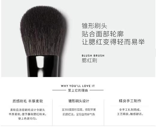 芭比波朗（BOBBI BROWN）（Bobbi Brown）专业腮红刷 商品图2