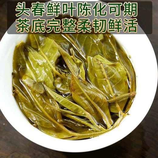 2023春茶现货吉顺号南糯山100g*5沱云南古树普洱生茶沱茶生普茶叶 商品图5