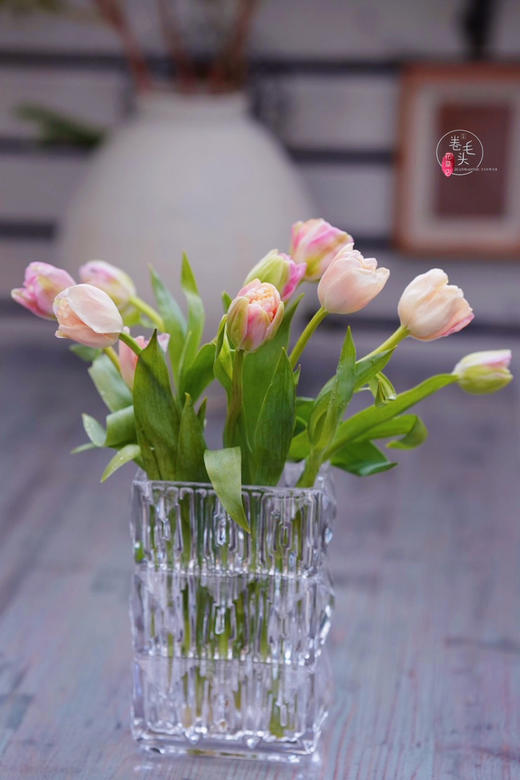 秒杀特价：网红加厚卢索水晶玻璃花瓶19.9 商品图2