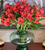 【进口六出花】红色  5枝 商品缩略图1