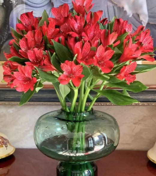 【进口六出花】红色  5枝 商品图1