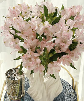 【进口六出】粉色 5枝/扎