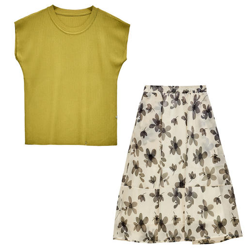 时尚印花套装女，夏新款韩版时髦修身显瘦法式浪漫优雅两件套裙HR-WM681189 商品图4