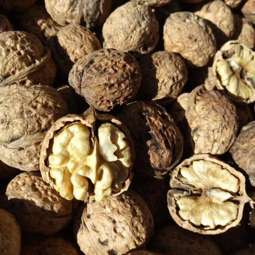 丨生态丨大理彝族山区生态核桃 桃漾温核桃，纸皮核桃，皮薄肉满，清香回甜，真正原生态老树果 商品图2