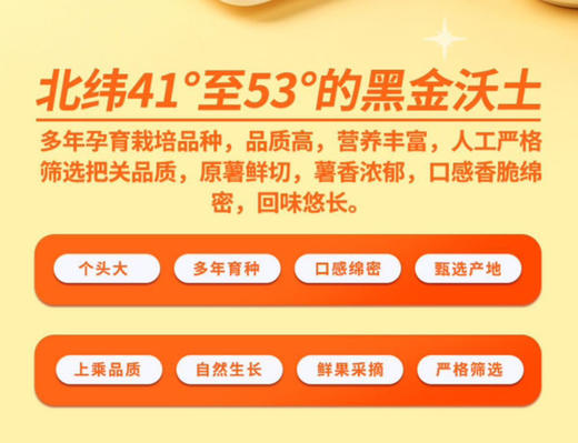 卡尔代马铃薯条气泡芒果味80g 商品图4