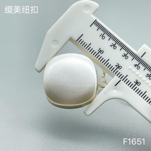 F1651(整包购买) 商品图3