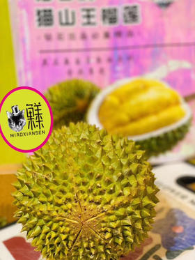 📦鲜果【泰国D197猫山王】榴莲